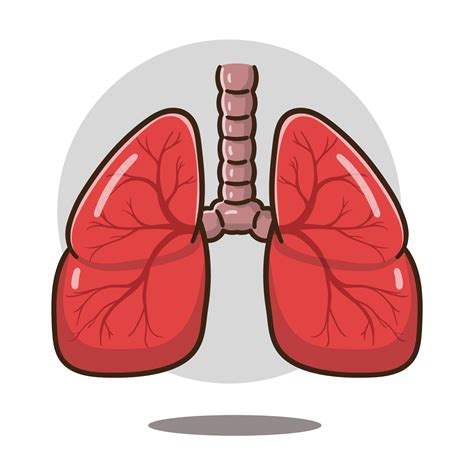 cartoon lungs